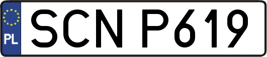 SCNP619