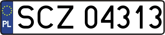 SCZ04313
