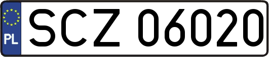 SCZ06020
