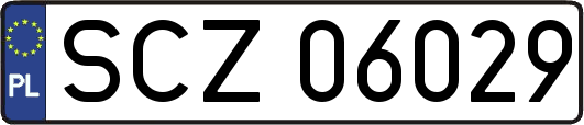 SCZ06029