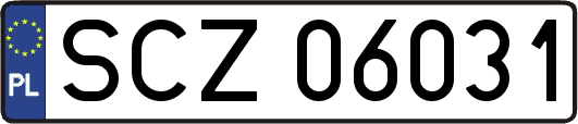 SCZ06031