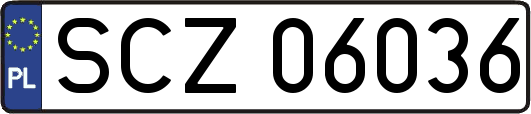 SCZ06036