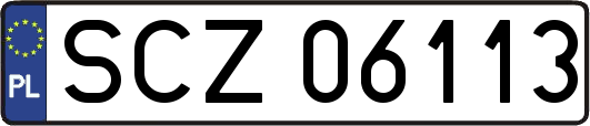 SCZ06113