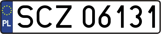 SCZ06131