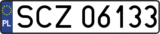 SCZ06133