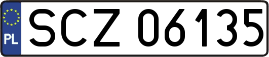 SCZ06135