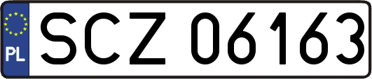 SCZ06163