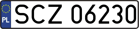 SCZ06230