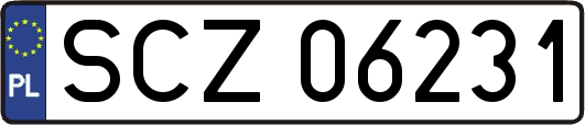 SCZ06231
