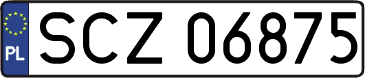 SCZ06875