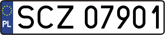 SCZ07901