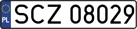 SCZ08029