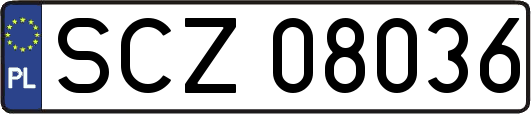 SCZ08036