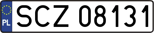 SCZ08131