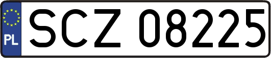 SCZ08225