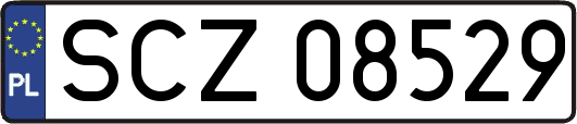 SCZ08529