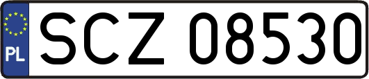 SCZ08530
