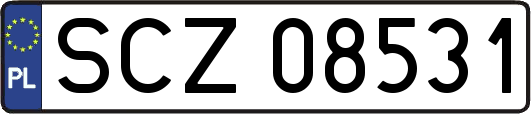SCZ08531