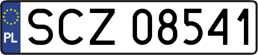 SCZ08541
