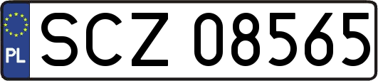 SCZ08565