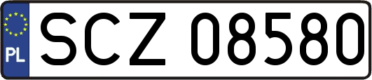 SCZ08580