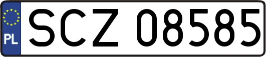 SCZ08585