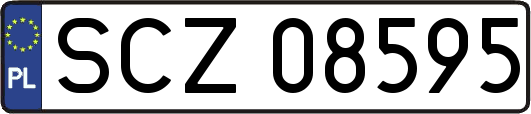 SCZ08595