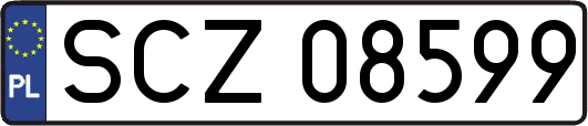 SCZ08599