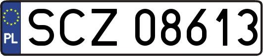 SCZ08613