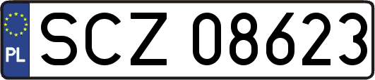 SCZ08623