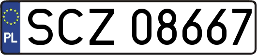 SCZ08667