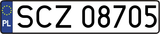 SCZ08705