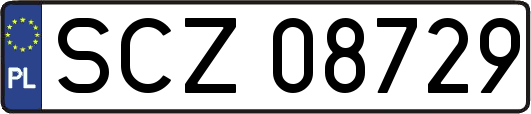SCZ08729