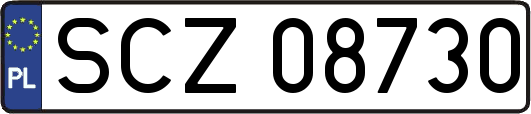 SCZ08730