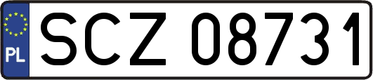 SCZ08731