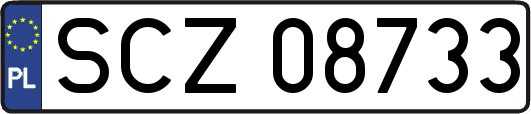 SCZ08733