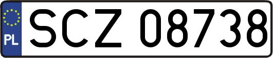 SCZ08738