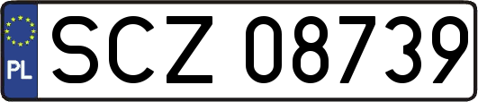 SCZ08739