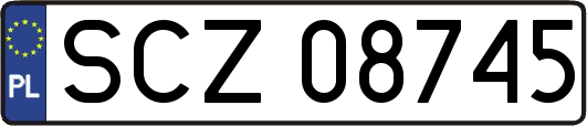 SCZ08745
