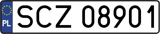 SCZ08901