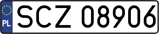 SCZ08906