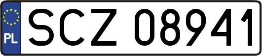 SCZ08941