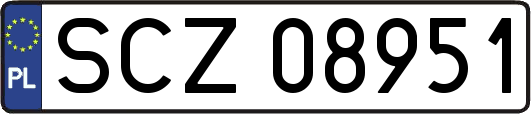SCZ08951