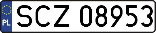 SCZ08953