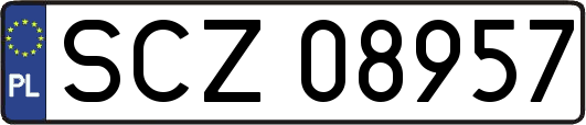 SCZ08957