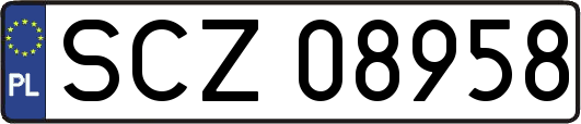 SCZ08958