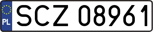 SCZ08961