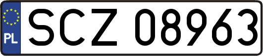 SCZ08963