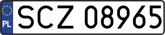 SCZ08965