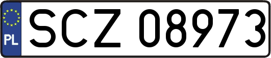 SCZ08973